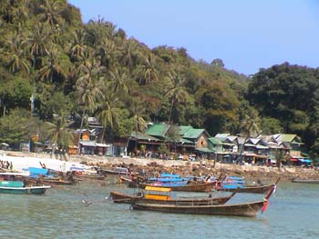 PhiPhi19