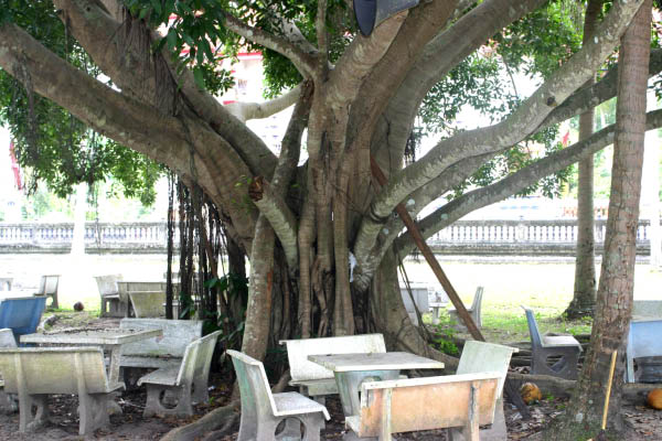 Khanom04